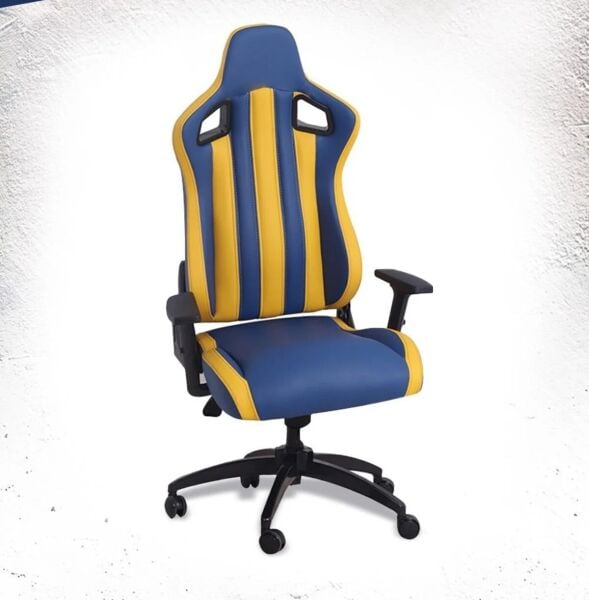 Fenerbahçe Oyuncu Koltuğu